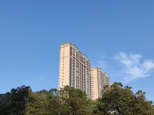 建筑学家提醒 一楼和顶楼不是最坑，这“三个楼层”才真正要想办法避开